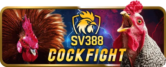 Đội ngũ hỗ trợ khách hàng j8bet win